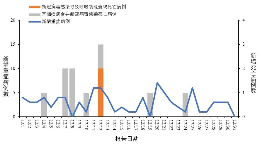 新冠病毒全国最新报道，疫情动态与防控进展