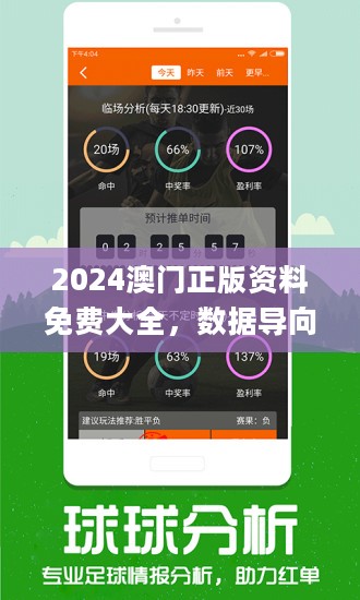 2024澳门免费资料,正版资料|精选解释解析落实