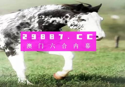 澳门香港一肖一码一中一特免费公开|精选解释解析落实