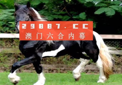 澳门今晚必开一肖一特|精选解释解析落实