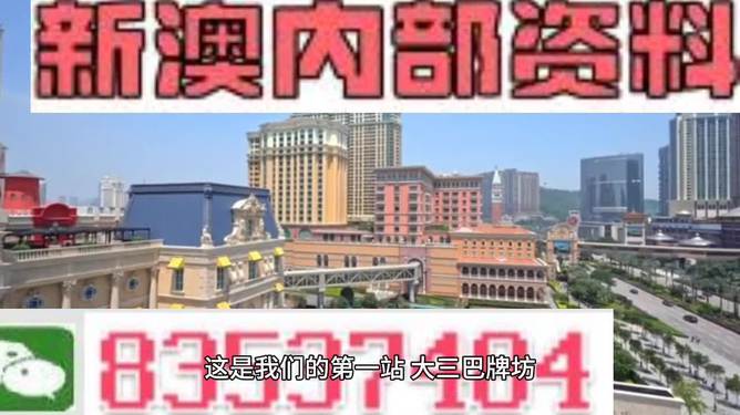 2024新澳门精准资料免费|精选解释解析落实