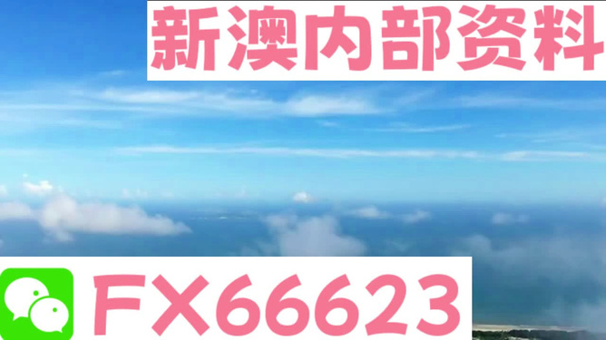 新澳2024内部爆料|精选解释解析落实