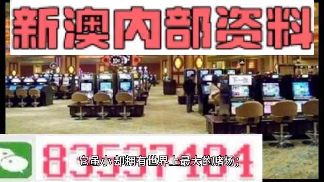 2024新澳门精准免费大全|精选解释解析落实