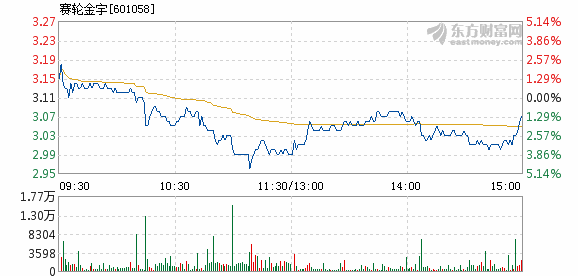 赛轮金宇最新十大股东概览