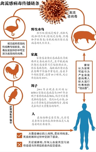 甲型H7N9最新新闻，全球关注下的禽流感动态