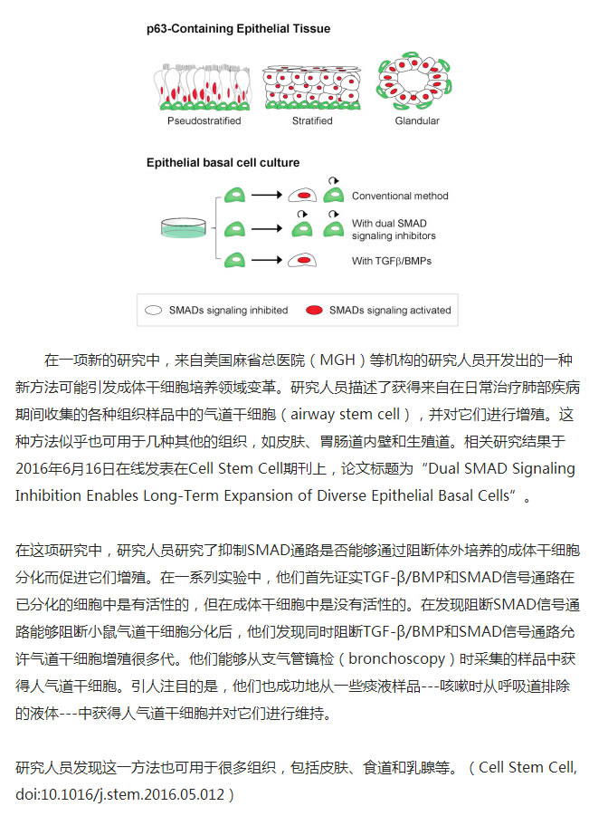 安沂华干细胞最新进展研究综述