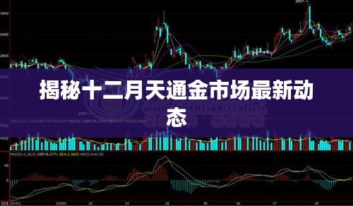 天通金最新消息，市场走势分析与行业展望