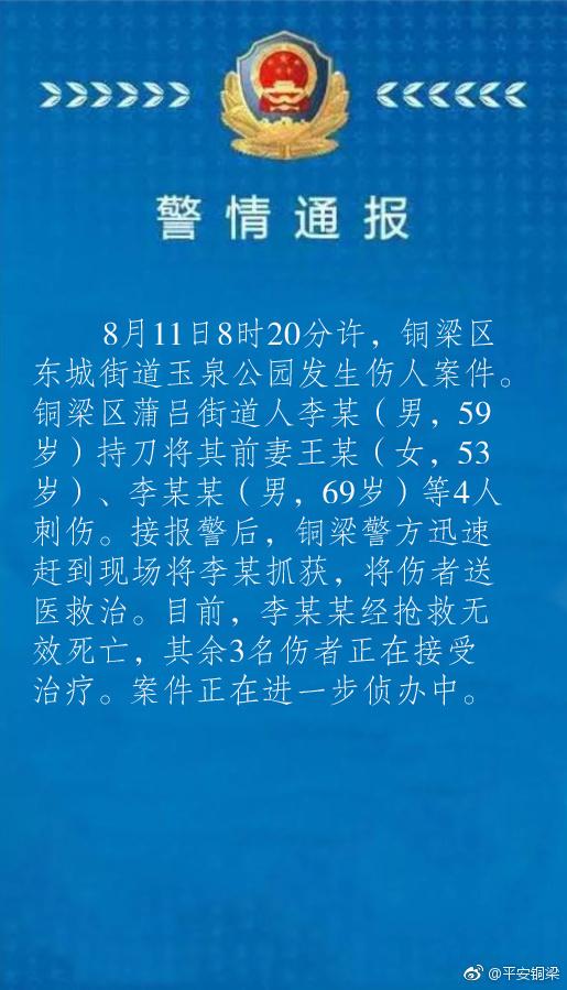 铜梁蒲吕最新消息，区域发展的动态与前景展望