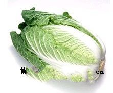 山东大白菜最新价格动态分析