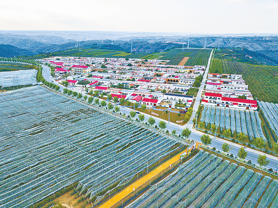 商河最新招手工活发放——带动地方经济发展，助力居民增收