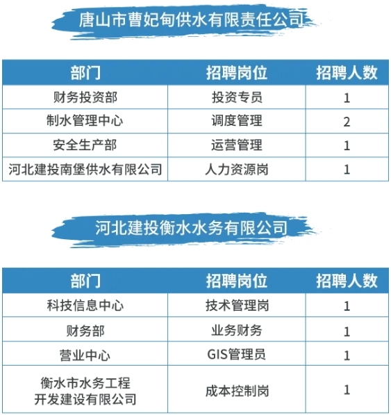 仙河最新招聘信息全面解析