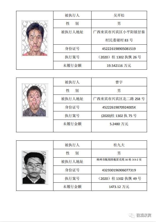 防城港最新新老赖现象深度解析