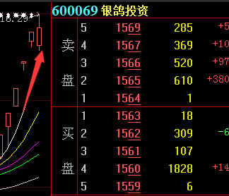 河南银鸽最新消息深度解析