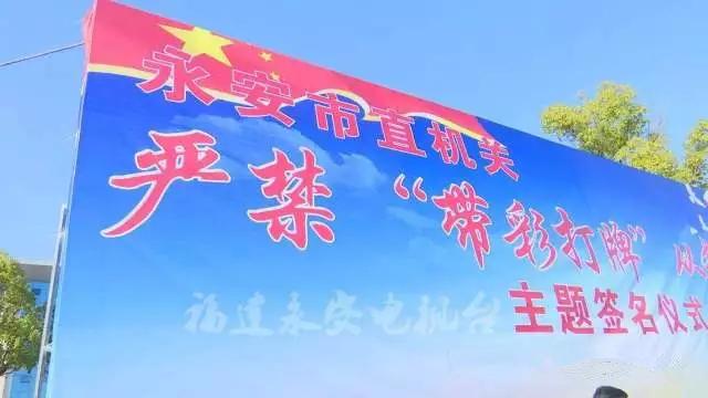 最新农村爱情电视剧，绽放乡村的情感之花