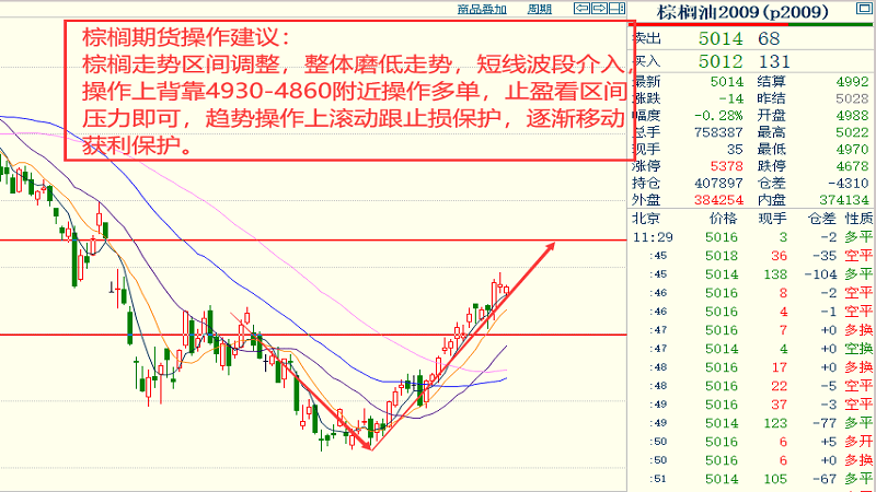 今曰尚村水貂最新价格——深入解析与市场趋势