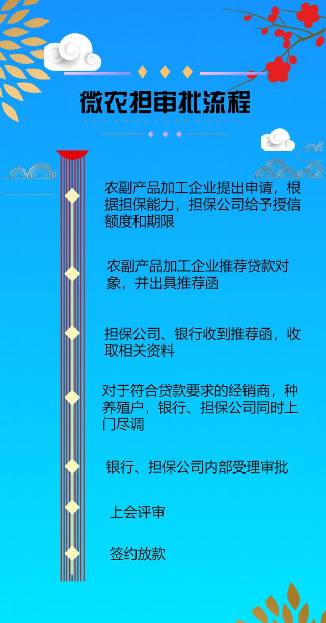 腾飞担保政府最新消息，引领未来金融发展的坚实后盾