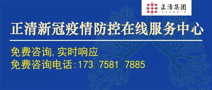 中现集团最新消息全面解析