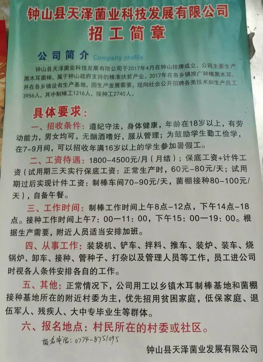 满庄镇最新招聘信息概览