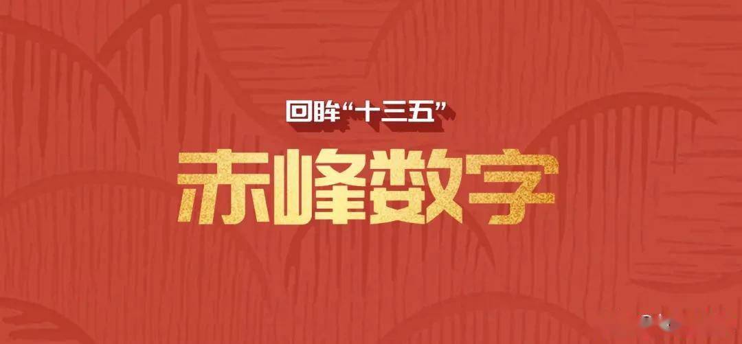 付霸红包最新消息，引领数字红包新时代的创新力量