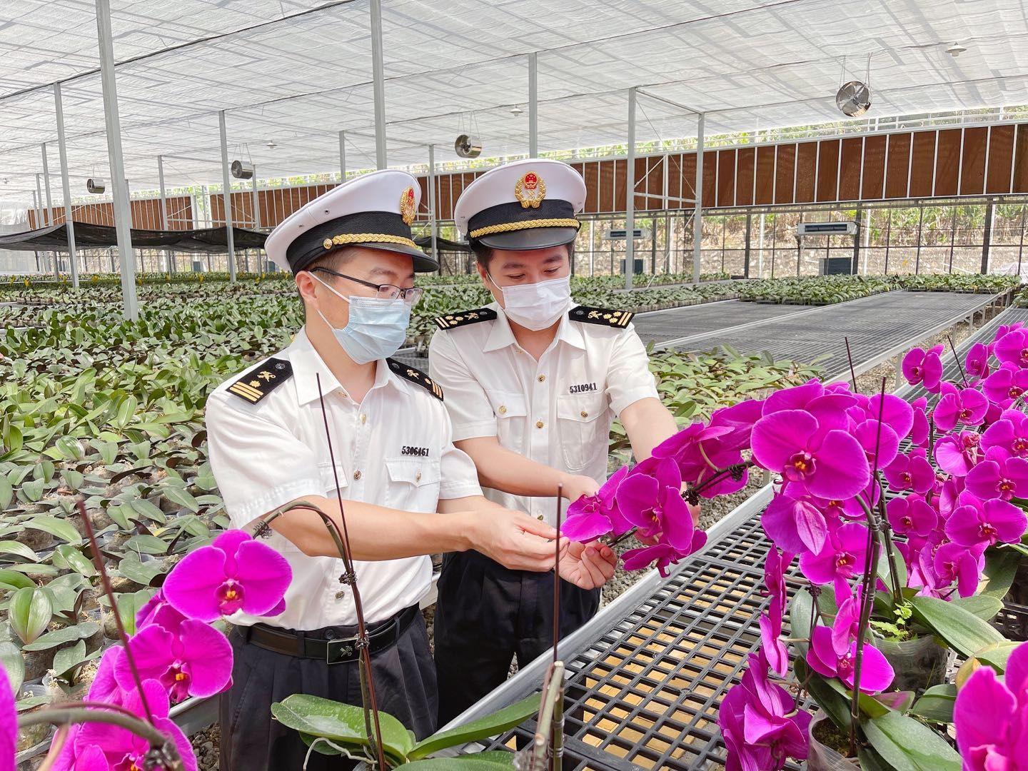 深港亚太中心最新消息全面解读