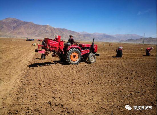 最新土豆播种机视频，科技助力农业革新