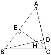 探索5x社区，最新动态与地点解析