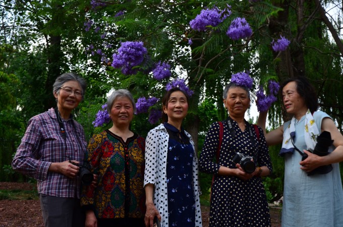 冰冠女神最新消息，揭开神秘面纱下的新动态