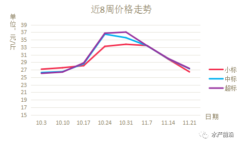 多宝鱼市场最新新闻，行业动态与市场趋势分析