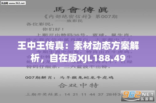 关于555525王中王四肖四码的解析与落实精选解释