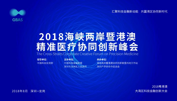 澳门精准大全正版资料与未来展望，解析落实2024年精选策略