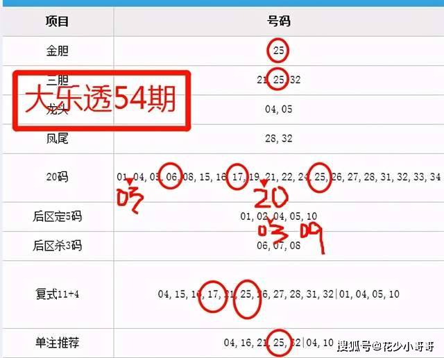 新澳今晚上9点30开奖结果解析与精选解释