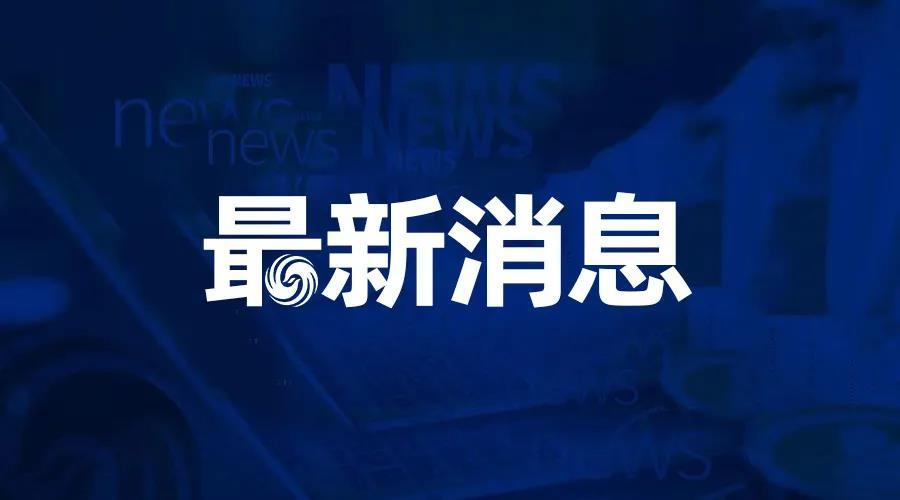 澳门精准资料免费凤凰网，精选解释解析落实的重要性