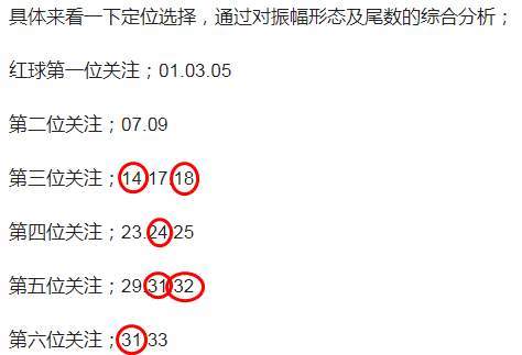 澳门特马今晚开奖53期，精选解释解析与落实策略