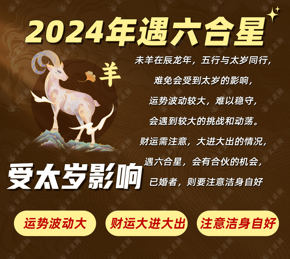 新澳2024一肖一码道玄真人，解析与落实的精选探索