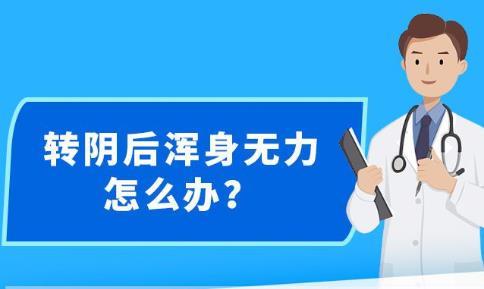 新澳精准资料下载与解析落实——助力您的成功之路