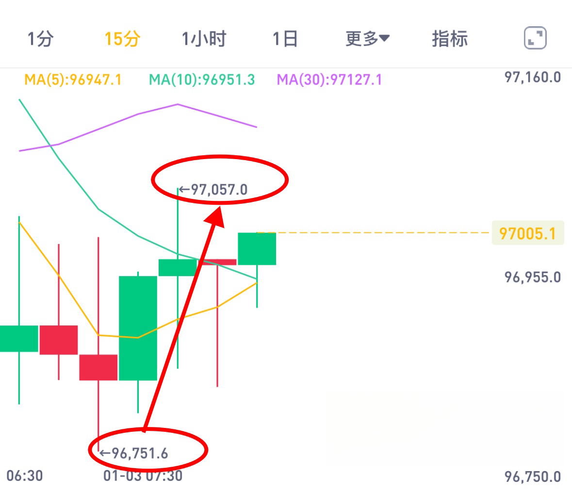 一肖一码一中一特，深度解析与精准落实的策略探讨