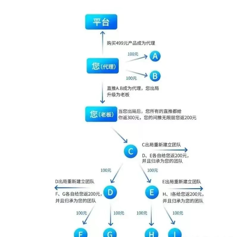 白小姐一肖一码，解析与落实精选策略