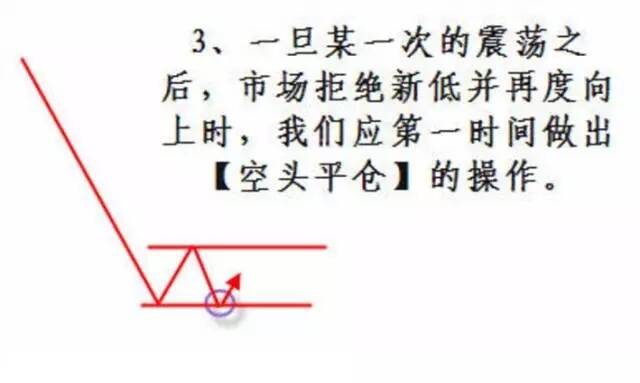 精准一肖一码一子一中，深度解析与精选策略实践