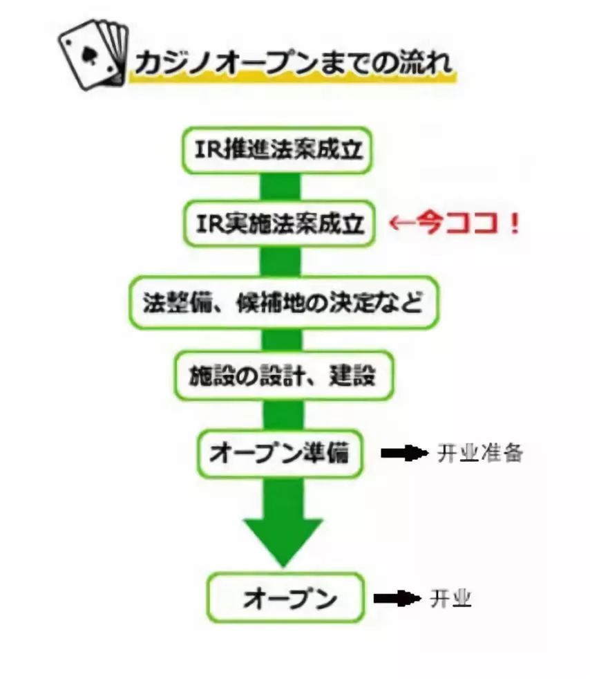 关于新澳天天开奖资料大全及精选解释解析落实的重要性——揭示违法犯罪问题背后的真相