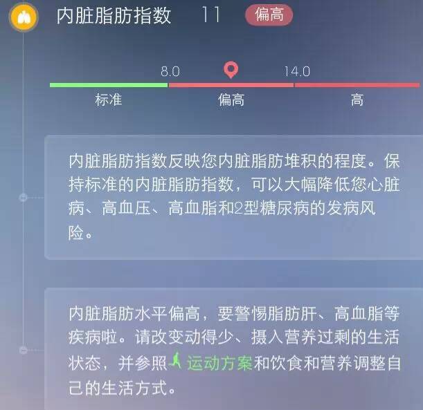 龙门客栈，解析新澳门天天开好彩大全的奥秘与落实策略