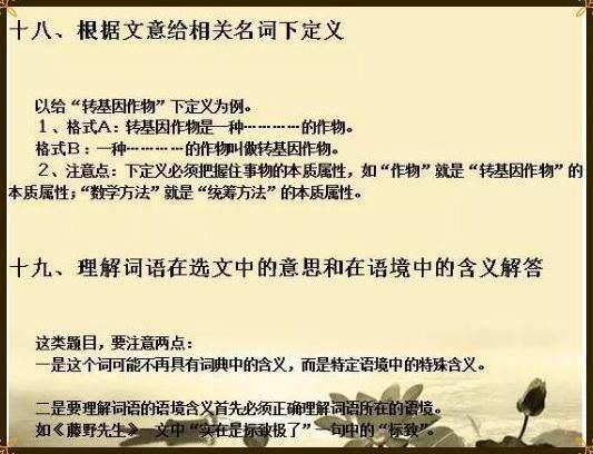 精准一肖，深度解析精准之含义与落实策略