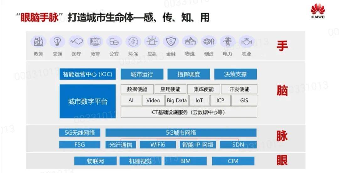 管家一码肖最新解析与落实策略，走向成功的关键指引（精选解析）