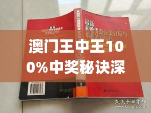 新澳门王中王正版解析与落实策略