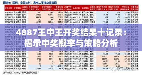 探索王中王开奖十记录网，精选解析与落实策略