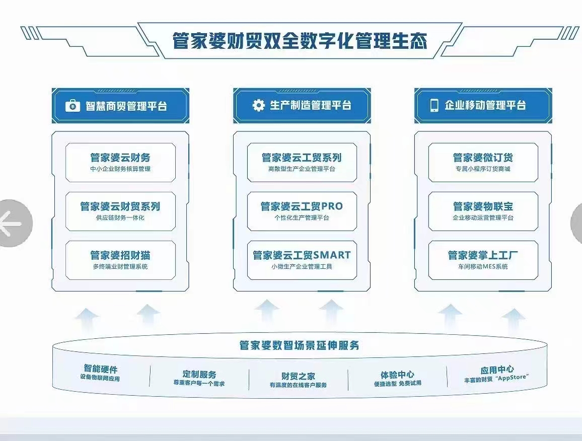 管家婆的资料一肖中特解析与落实策略，第176期深度探讨