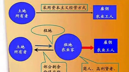 白小姐三肖三期免费开奖，解析与落实精选解释