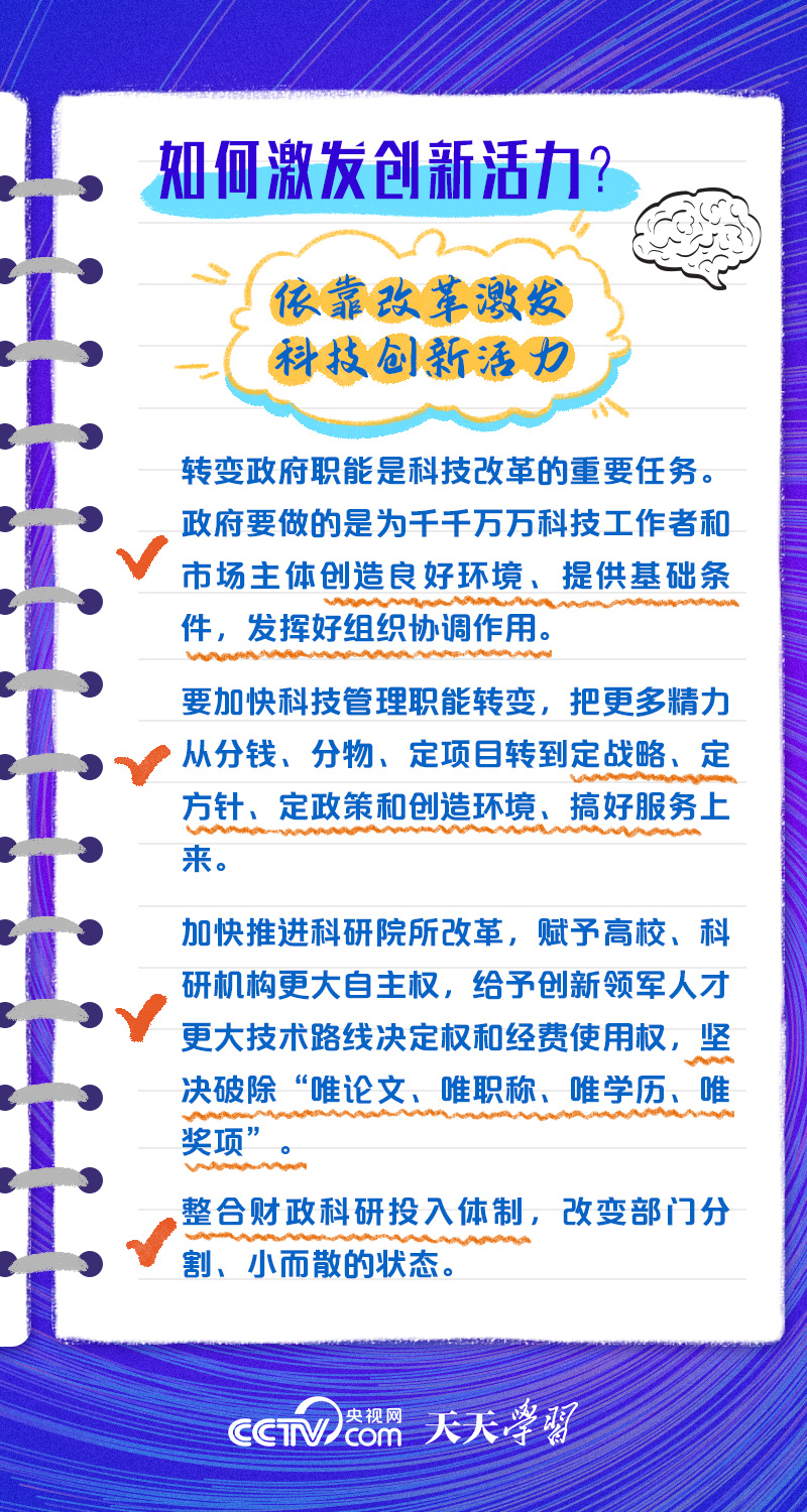 新门内部资料正版公开，精选解释解析落实的重要性