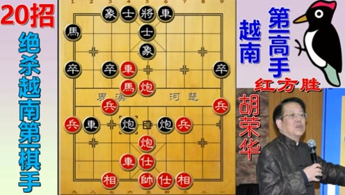 关于新澳兔费资料琴棋的解析与落实精选解释