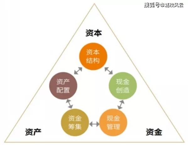 新澳精准资料，精选解释解析与落实策略