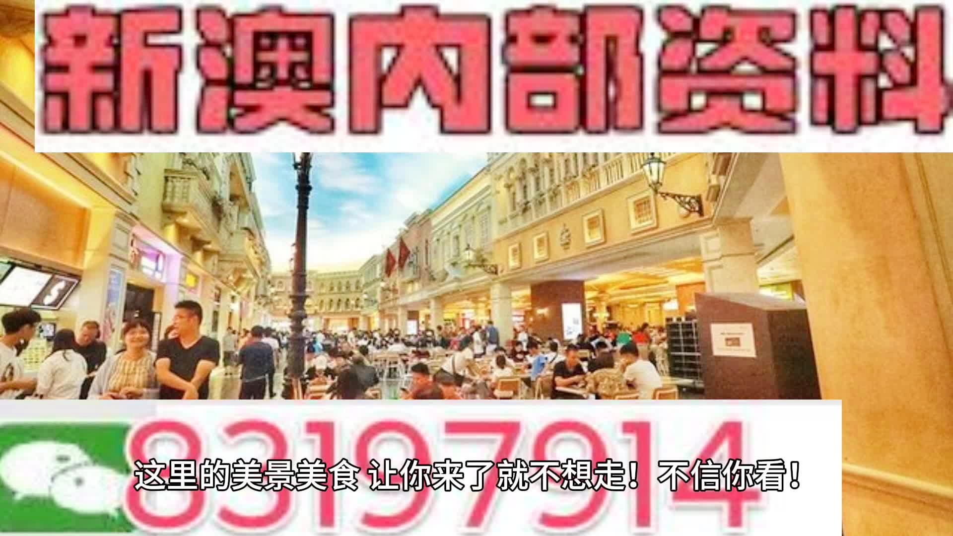 新澳门资料全年免费精准，解析与落实精选解释